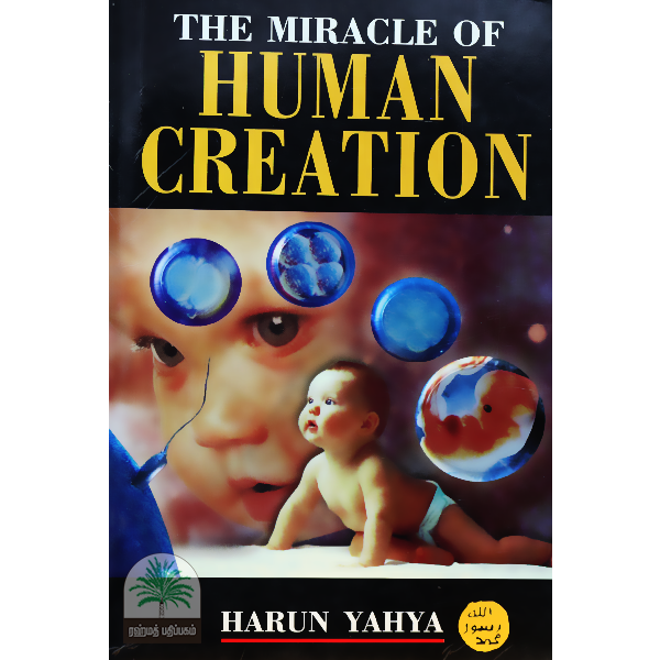 The-Miracle-of-Human-Creation