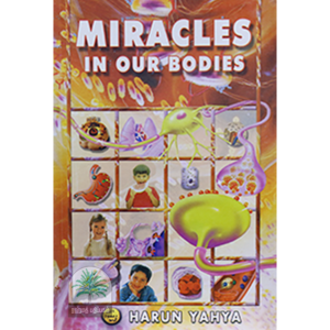 Miracles-in-our-bodies-