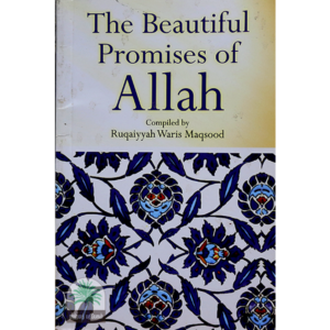 THE-BEAUTIFUL-PROMISES-OF-ALLAH