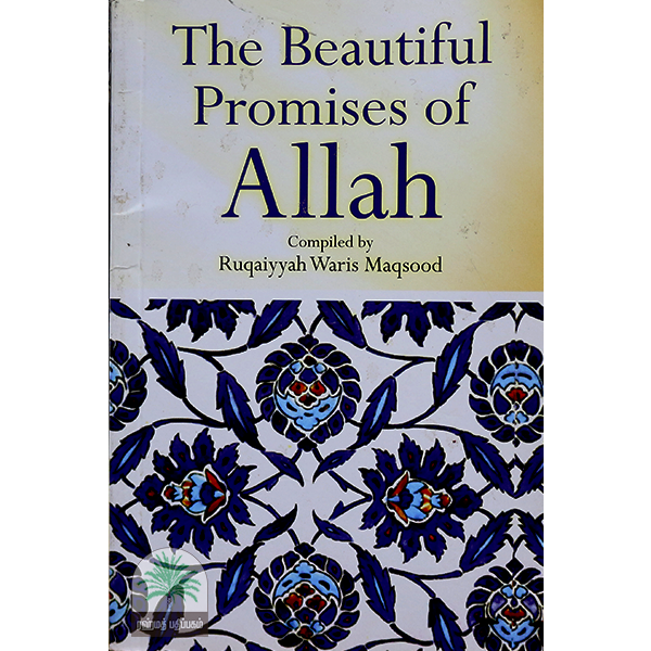 THE-BEAUTIFUL-PROMISES-OF-ALLAH