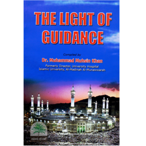 The-Light-Of-Guidance