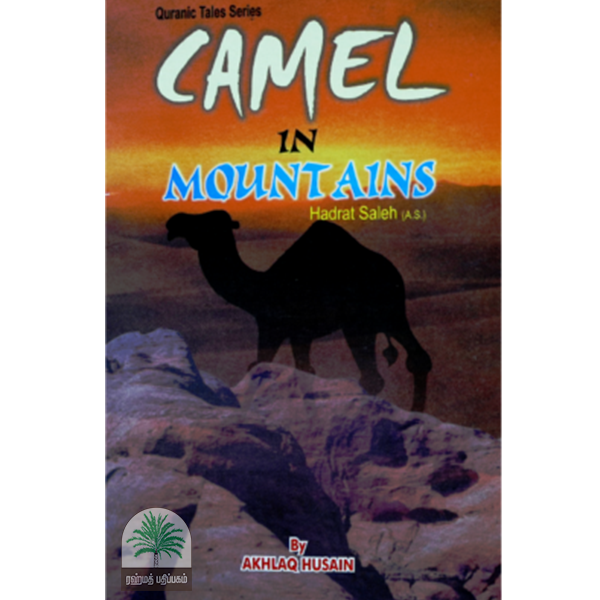 Camel in mountains